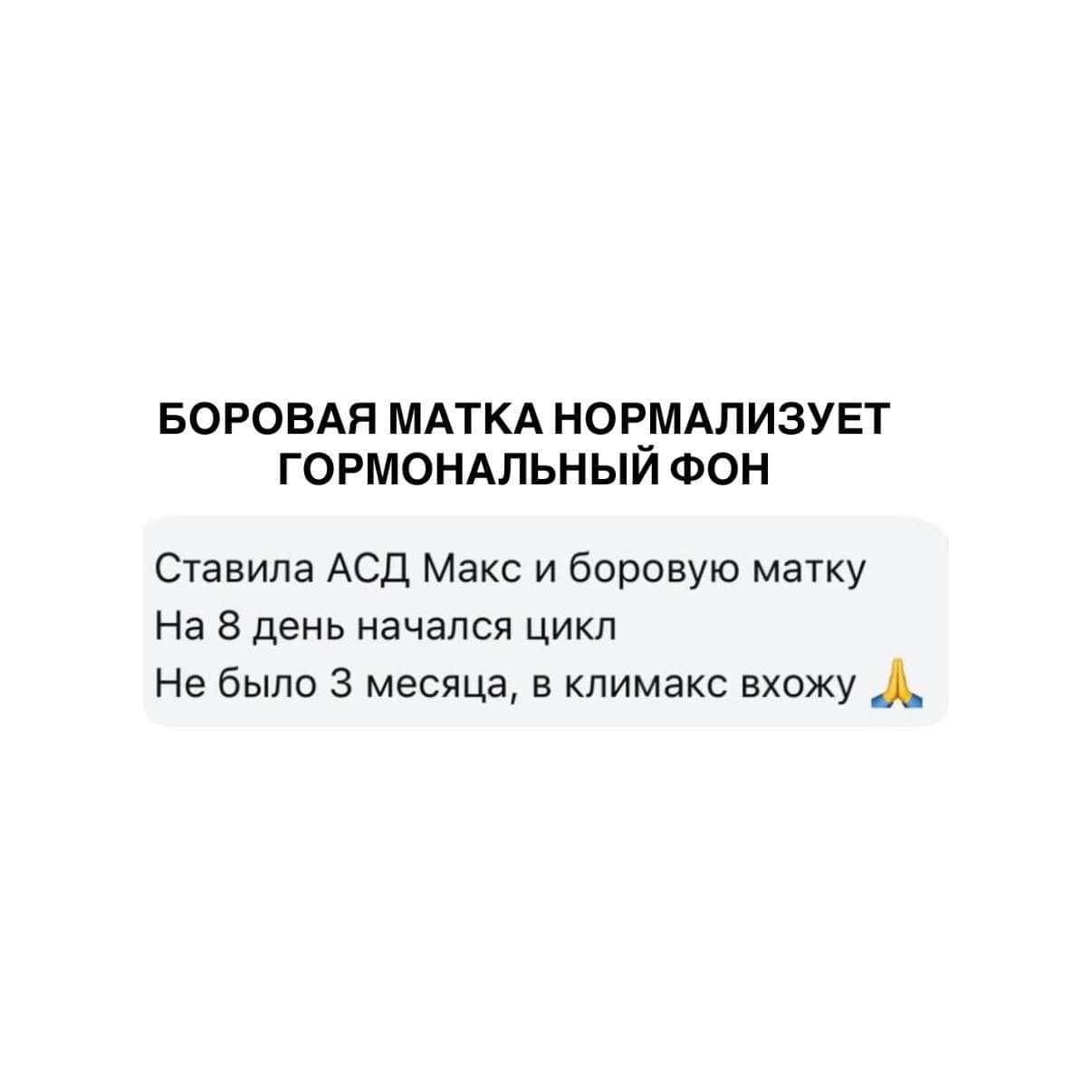 Фитосвечи с боровой маткой и красной щеткой - photo 5