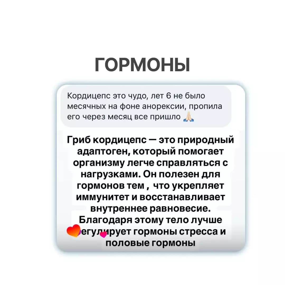 Кордицепс (милитарис) - photo 9