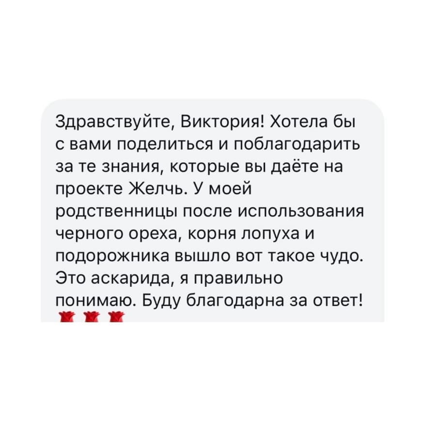 Обучающий проект "ЖЕЛЧЬ" - photo 2